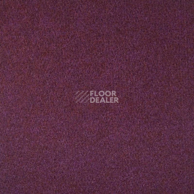 Ковролин Tapisom 600 Violet - 600 416002009 00029 фото 1 | FLOORDEALER